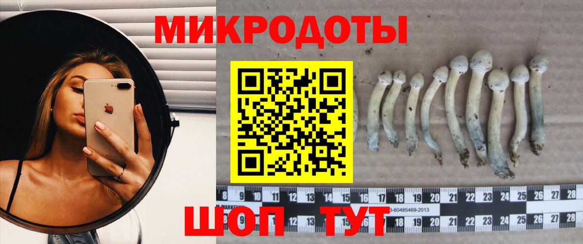 Псилоцибиновые грибы ЛСД Южно-Сахалинск