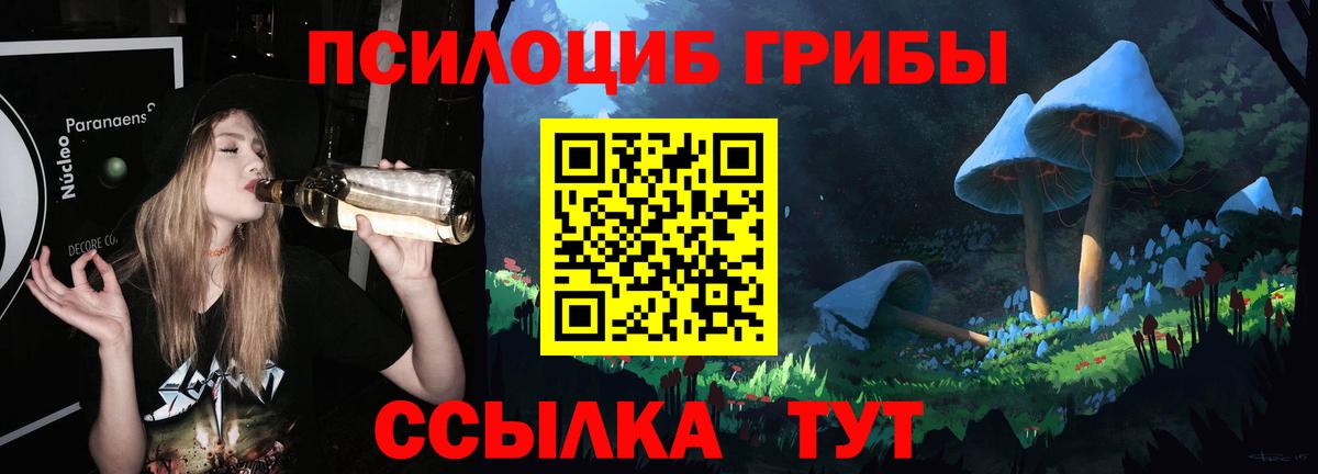 Южно-Сахалинск  Галлюциногенные грибы Psilocybine cubensis  Вход с VPN 